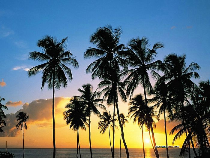 St. Lucia